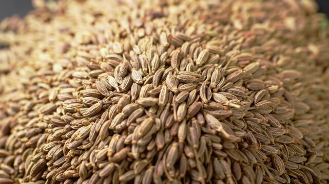 Close-up of dried cumin seeds