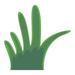 Vibrant Green Plant Leaves Against a White Background, Showcasing Nature's Beauty