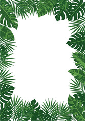 Tropical green leaves frame a blank white space for text or design 1.