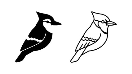Two stylized blue jay illustrations one black silhouette one line drawing side view detailed.