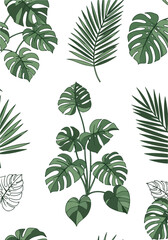 Tropical plant pattern with green leaves on white background for design.