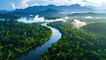 Lush green forest, traversed by a winding river, under a bright sky. Mountains stand in the distance, shrouded in mist