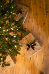 New Year's gift under the Christmas tree