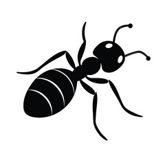 Ant Crawling Icon