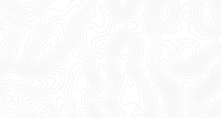 Topographic contour map. similarcartography illustration.  Abstract outline grid, vector illustration. Topography and geography map grid abstract backdrop.