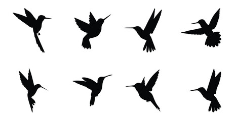 hummingbird set collection pack bundle black shape icon silhouette vector flat illustration design on white background