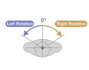 Cervical Spine and Neck Range of Motion (ROM) Illustration