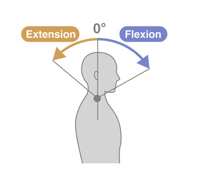 Cervical Spine and Neck Range of Motion (ROM) Illustration