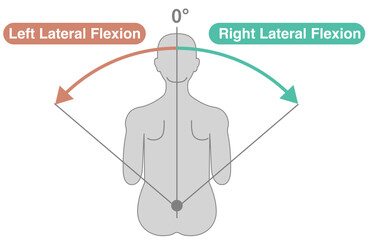 Thoracolumbar Spine and Trunk Range of Motion (ROM) Illustration
