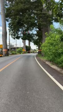 A scenic view of the road lined with Dipterocarpus trees in Chiang Mai Province, Thailand.