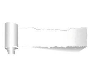 Rolled, torn white paper strip