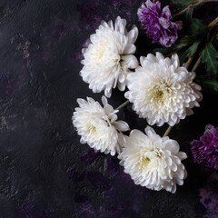 White chrysanthemums on a dark textured background, with purple accents