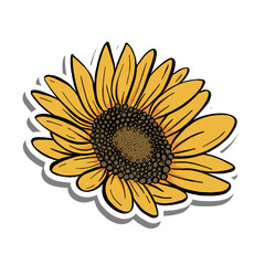 Black line sunflower. Yellow Sunflower Blooming on white silhouette and gray shadow. Vector illustration for decorate logo, text, greeting cards and any design.