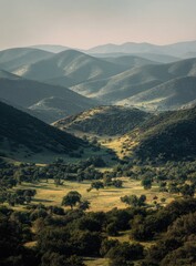 Naklejka premium Misty mountain valley, verdant hills