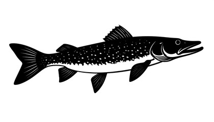 Silhouetted, long fish, side view