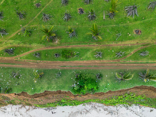 Beautiful morning view indonesia Panorama Landscape paddy fields with beauty color and sky natural light