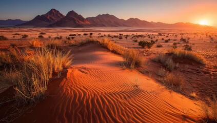 Fototapeta premium Sunrise over desert dunes. Vast, arid landscape bathed in golden light. Sand ripples, sparse vegetation, distant mountains