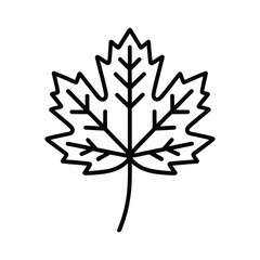 Maple leaf icon simple line drawing of a leaf, symbol of autumn, nature, and canada, for web or print design, with a minimalist style