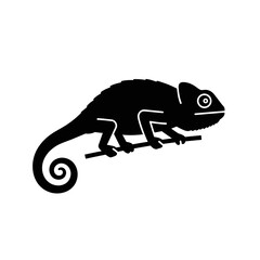 Detailed Silhouette of a Chameleon on a Branch.