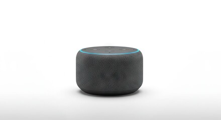 The image shows a gray cylindrical smart speaker on a white background