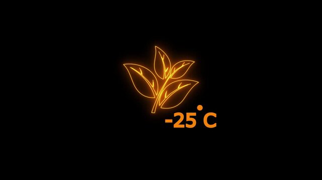 Glowing neon digital temperature display showing minus 25°C on black background, futuristic LED-style number animation, Researches minus 25 degrees centigrade. Weather forecast related animation.