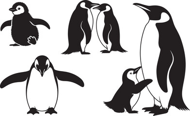 Fototapeta premium Penguin set silhouette, polar bird icons, Antarctic animal collection, flightless fowl