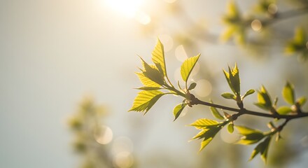 Slender branch with fresh light-green leaves, pastel sky gradient, natural sunlight shining through leaves, beautiful bokeh effect, ultra realistic macro nature shot