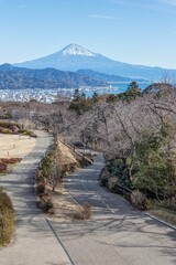 静岡県静岡市　日本平夢テラスからの富士山
