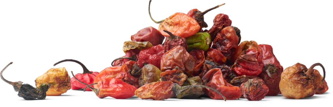 pile of overripe chili peppers isolated white background, side view of discarded vegetable in side view, agricultural sustainability and renewal concept