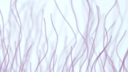 Damaged collagen and weak elastin fiber network skin aging concept 3D illustration