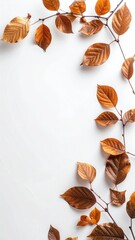 Dried autumn leaves frame on white background