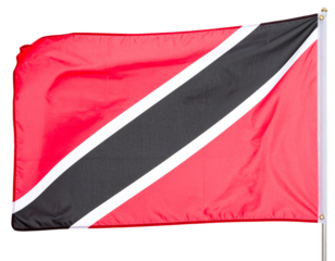 Flag of Trinidad and Tobago Isolated on transparent or white background