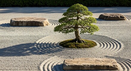 Serene Japanese Zen Garden with Bonsai Tree, Stone and Raked Gravel