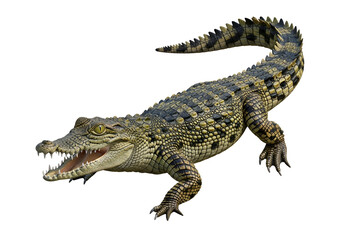 Fototapeta premium A full shot of a young crocodile, displaying intricate scales and an open mouth, set against a pure black background.