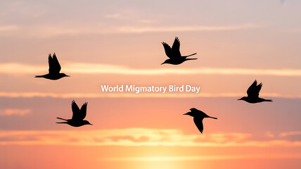Silhouettes of migratory birds flying against a sunset sky on World Migratory Bird Day
