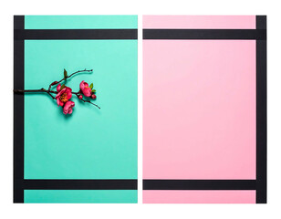 Pink blossoms on teal and pink paper