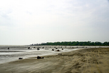 Desolate Wetland Shoreline With Weathered Trees And Reflections Under Soft Sky, Calm Distant...