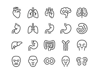 Vector icon set illustrating human organs medical health technology and science graphic elements vector