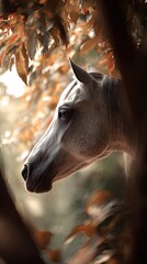 Horse profile through autumnal foliage