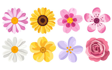 A vibrant collection of eight diverse floral illustrations
