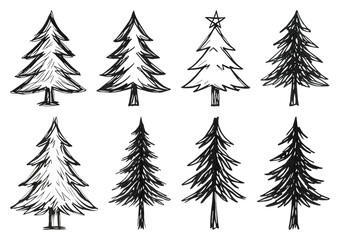 Obraz premium PNG Hand-drawn evergreen tree illustrations, element set on transparent background