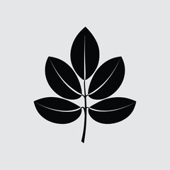 Elegant black century leaf silhouette vector illustration scalable eps graphic icon for design vector
