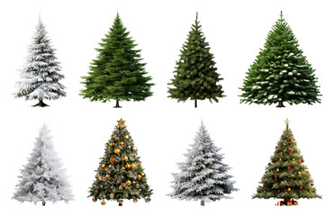 Obraz premium PNG Variety of decorated Christmas trees, element set on transparent background