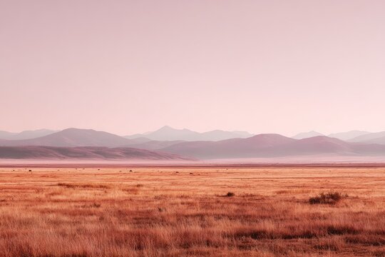 Serene, hazy sunrise over a vast, golden-brown field, rolling hills and distant mountains under a pale pink sky