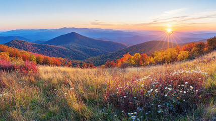 Sunrise Over Golden Meadow and Colorful Forest Mountain Landscape: For Wallpaper Design, Poster Creation and Nature-Themed Projects