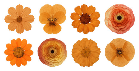 Vibrant orange floral arrangement