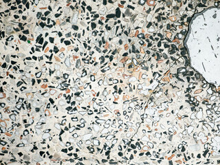 Terrazzo floor texture with colorful stone chips and marble fragments - Abstract speckled pattern background for modern interior design