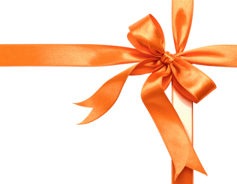 Orange ribbon bow, gift wrap detail (1)