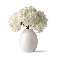Creamy white ceramic vase holding a bouquet of pristine white hydrangeas against a stark white background