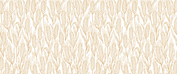 Cereal wheat straw pattern background. Ears of wheat, rye or barley. Wrapping paper for bread. © Ilia